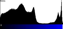 Blue Histogram