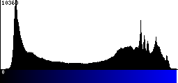 Blue Histogram