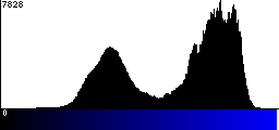 Blue Histogram