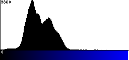 Blue Histogram