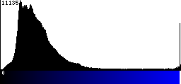 Blue Histogram