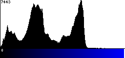 Blue Histogram