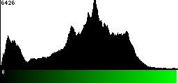 Green Histogram