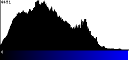 Blue Histogram
