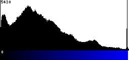 Blue Histogram