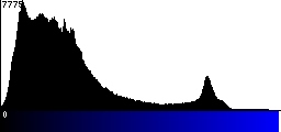 Blue Histogram