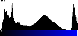 Blue Histogram