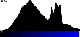 Blue Histogram