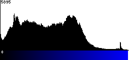 Blue Histogram
