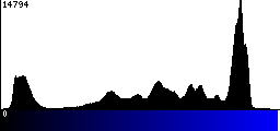 Blue Histogram