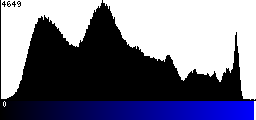 Blue Histogram