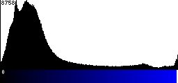 Blue Histogram