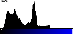 Blue Histogram