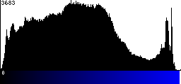 Blue Histogram