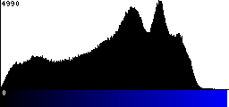 Blue Histogram