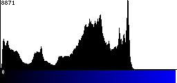 Blue Histogram