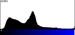 Blue Histogram