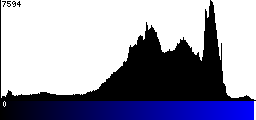 Blue Histogram