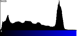 Blue Histogram