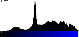 Blue Histogram