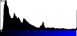 Blue Histogram