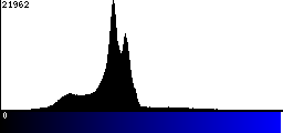 Blue Histogram