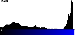 Blue Histogram
