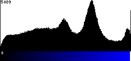 Blue Histogram