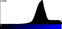 Blue Histogram