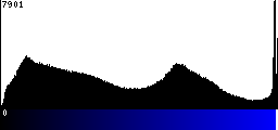 Blue Histogram