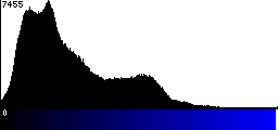 Blue Histogram