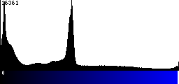 Blue Histogram