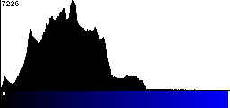 Blue Histogram