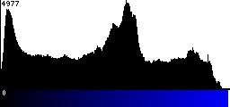 Blue Histogram