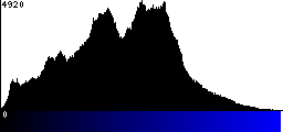 Blue Histogram