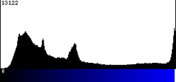 Blue Histogram
