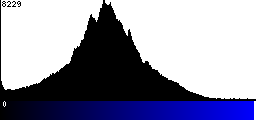 Blue Histogram