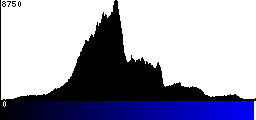 Blue Histogram
