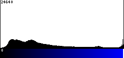 Blue Histogram