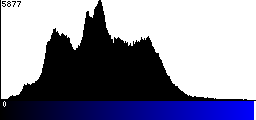 Blue Histogram