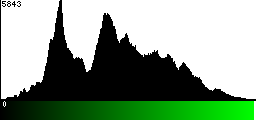 Green Histogram