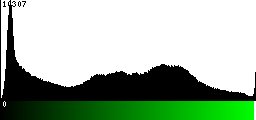 Green Histogram