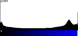 Blue Histogram