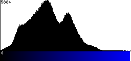 Blue Histogram