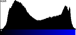 Blue Histogram