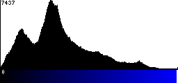 Blue Histogram