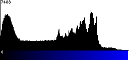 Blue Histogram