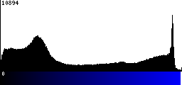 Blue Histogram