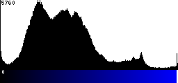 Blue Histogram