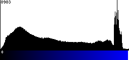 Blue Histogram
